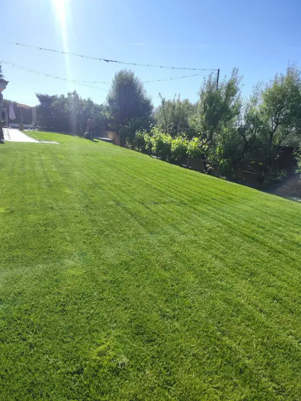 Césped y jardín con árboles frutales bien mantenidos