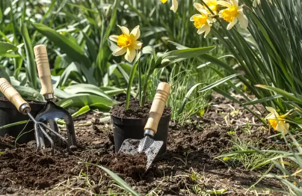 Plantación de bulbos y flores en jardín de primavera
