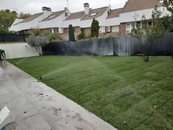Aspersores regando césped natural de tepe recién instalado