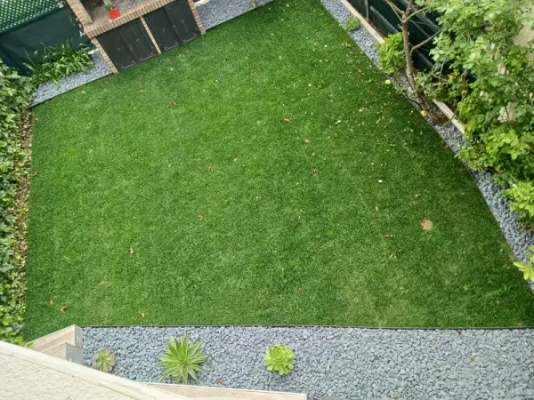 Césped con franja de grava gris y plantas crasas junto al seto